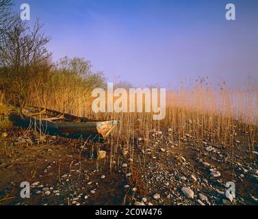 Ireland. Killarney National Park. Lough Leane with abandoned rowing boat. Stock Photo