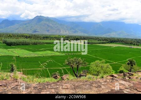 Thailaramman Temple in Periyakulam Tamilnadu Stock Photo