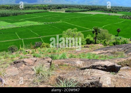 Thailaramman Temple in Periyakulam Tamilnadu Stock Photo