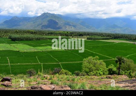 Thailaramman Temple in Periyakulam Tamilnadu Stock Photo