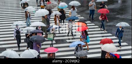 Pedestrian crowd with umbrella walking at the famous Shibuya scramble ...
