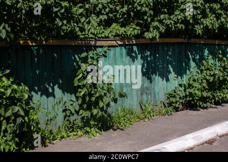 old green wooden fence in village Stock Photo