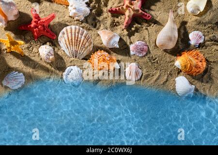 Bright blue sea waves wash the sandy beach full of empty snail shells. Stock Photo