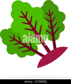 Beetroot stems with leaves flat isolated Stock Vector