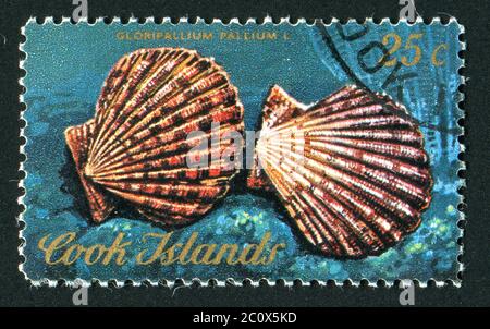 COOK ISLANDS - CIRCA 1975: Gastropod shell is a shell which is part of the body of a gastropod or snail, circa 1975. Stock Photo