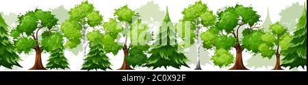 Vector horizontal seamless background with deciduous and coniferous green trees on white. Stock Vector