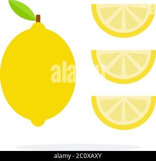 Lemon and three slices of lemon vertically flat isolated Stock Vector
