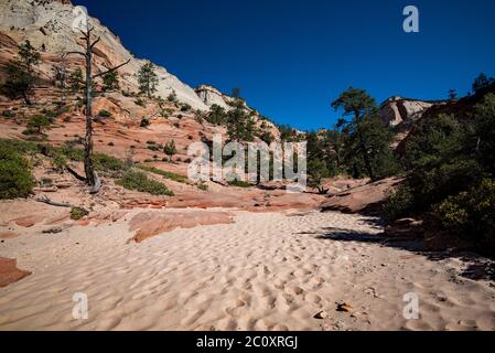 Scenic images of Zions National Park taken from Hwy 9.  The park is divided into two main areas; the scenic loop, and Hwy 9.  Each  area is beautiful. Stock Photo