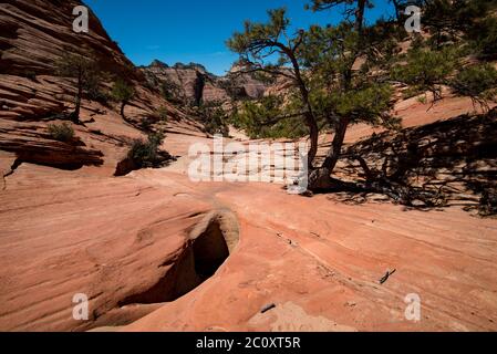 Scenic images of Zions National Park taken from Hwy 9.  The park is divided into two main areas; the scenic loop, and Hwy 9.  Each  area is beautiful. Stock Photo