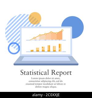 Vector illustration of a statistical report from a business profit. Presentation of graphic chart on a laptop screen.
