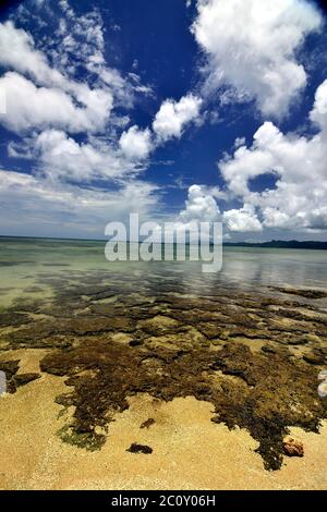 Yonehara Beach, Low Tide, Ishigaki, Yahema Islands, Ryukyu Islands, Okinawa, Japan