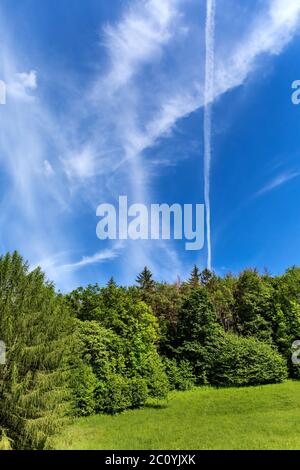 Condensation trails of planes in the sky over the green forest. Environmental protection concept. Forested landscape. Sunny day. Stock Photo