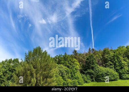 Condensation trails of planes in the sky over the green forest. Environmental protection concept. Forested landscape. Sunny day. Stock Photo