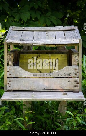 Handmade DIY honesty egg box in the Loire region of France Stock Photo