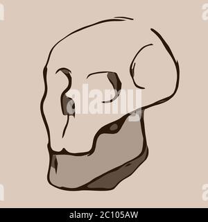 Hand Drawn cartoon Skull. Illustration Stock Photo