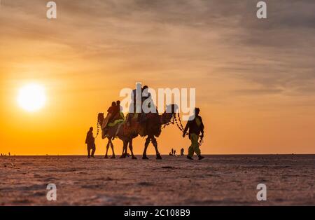 Tourist Enjoy camel ride at white rann, Kutch, Gujarat, India Stock Photo