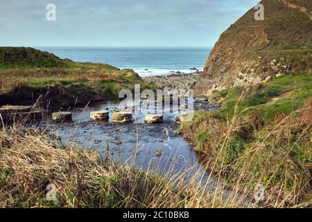 Welcombe Mouth from the stepping stones over Strawberry Water. Devon. Stock Photo