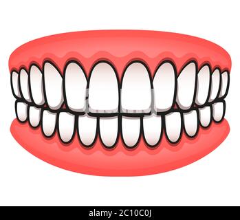 Vector illustration of teeth design isolated drawing Stock Vector