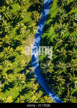 Aerial Photo of Campervan on a road surrounded by palm trees, Port Douglas, Australia Stock Photo