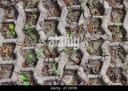 Wheel tracks in the mud, detail footprints car. Stock Photo