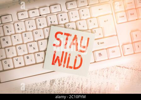 Conceptual hand writing showing Stay Wild. Concept meaning end up being  extremely energetic throughout the entire day Exploding Cracking Breaking  Spee Stock Photo - Alamy