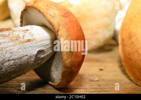Wild mushroom on the table with shallow depth of field  Wild mushroom on the table with shallow depth of field Stock Photo