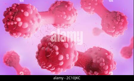 3d illustration of a cancer cell in the process of cytokinesis Stock Photo