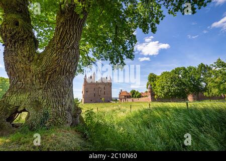 Doornenburg, The Netherlands - May 31, 2020: Castle Doornenburg and big oak tree. One of the oldest oak trees in the Netherlands. Stock Photo