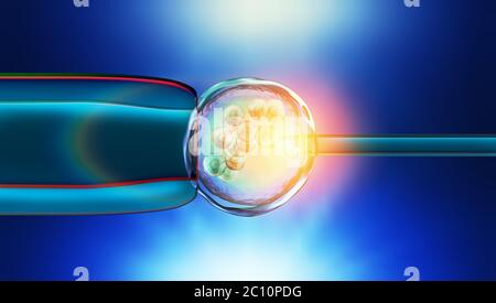 Colorful 3d Illustration of a in-vitro fertilization of an egg cell Stock Photo