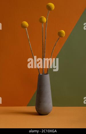Grey clay jug or vase with several yellow dried wildflowers with long stems standing on brown table against double color wall in isolation Stock Photo