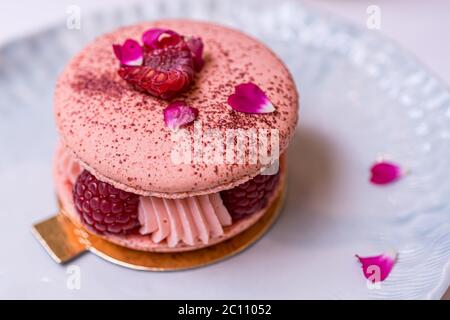 Beautiful Pink Raspberry Macaron cookies on blue plate. Healthy food. Blue table background. Top view.  Stock Photo