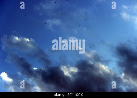 blue sky with clouds before the storm Stock Photo