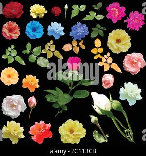 Rose flowers set elements collection design, watercolor Stock Vector