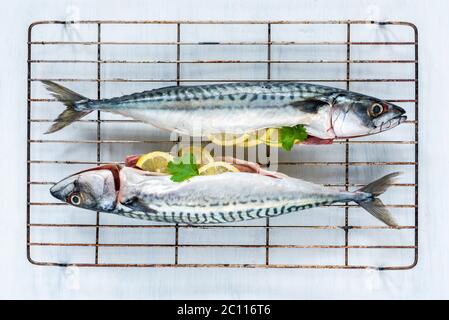 Two raw mackerels on white background - overhead view Stock Photo