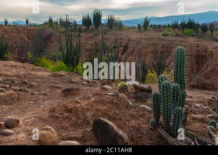 Tatacoa desert view into the vast plains Colombia Stock Photo