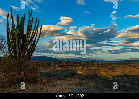 Tatacoa desert view into the vast plains Colombia Stock Photo