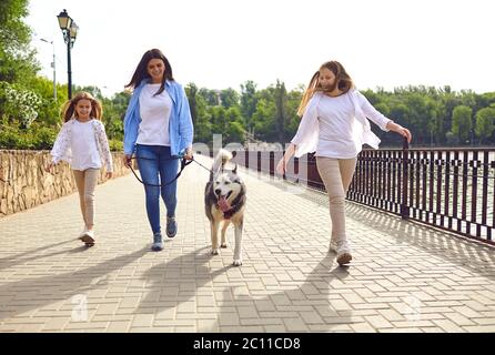 Happy mother with two daughters walking their dog in summer park. Stock Photo