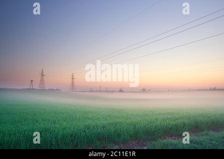 Power lines on field in morning fog Stock Photo