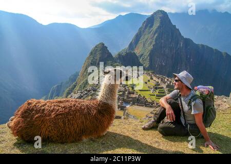 Tourist and llama in Machu Picchu Stock Photo