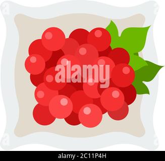 Red berries of viburnum in a plate vector icon flat isolated Stock Vector