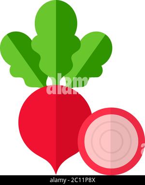 Whole beet with slice of beet vector icon flat isolated Stock Vector