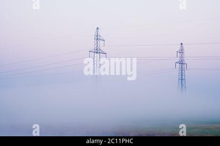 Power lines on field in morning fog Stock Photo