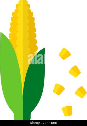 Whole ears of corn with leaves vector icon flat isolated Stock Vector