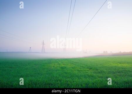 Power lines on field in morning fog Stock Photo