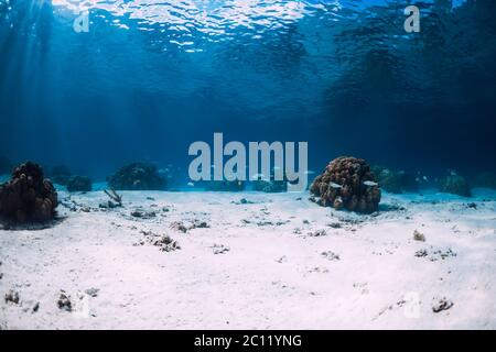 Underwater view with white sand and corals in Hawaii Stock Photo
