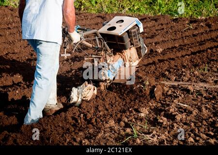 farmer who works the land with the tiller Stock Photo