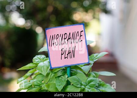 Writing note showing Insurance Plan. Business concept for includes the risk management that a worker is covered Plain paper attached to stick and plac Stock Photo