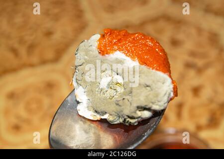 Mold growing on the tomato paste. Close up Stock Photo