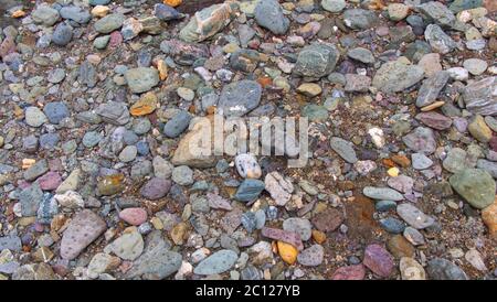 Textural backgrounds of beach pebbles, rocks and sand along the strand line of a sheltered Cornish beach. Stock Photo