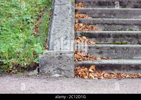 dry autumn leaves on stone steps outdoors Stock Photo